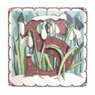 S is for Snowdrop